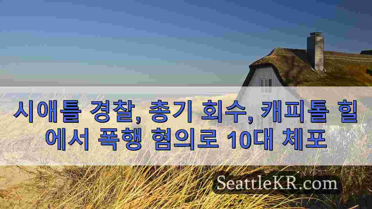시애틀 뉴스 SeattleKR
