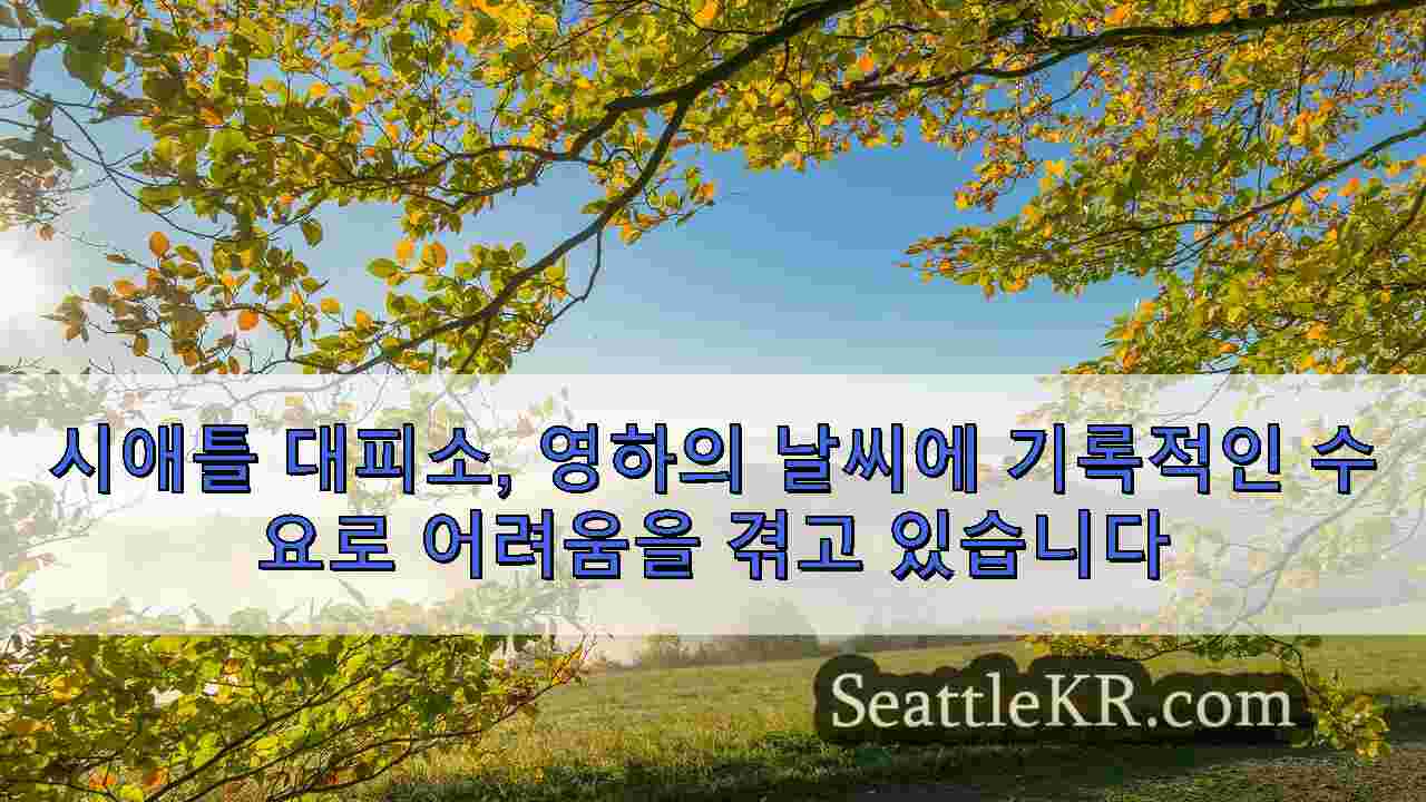시애틀 뉴스 SeattleKR