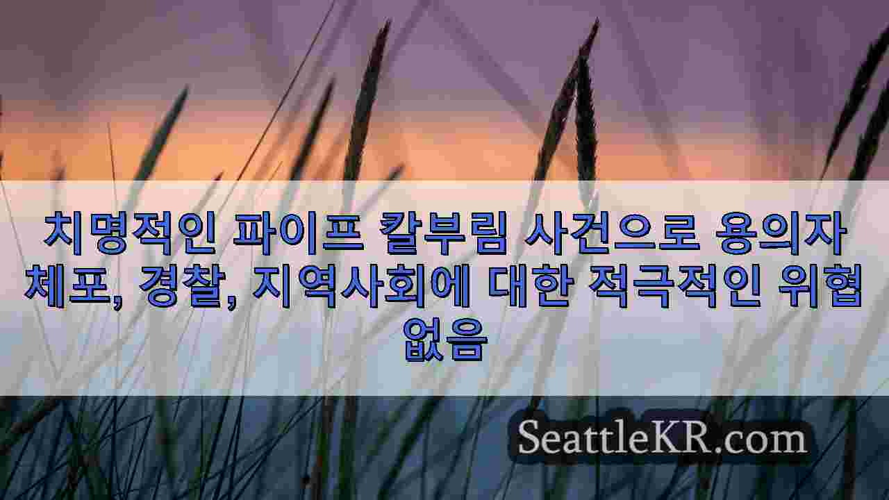 시애틀 뉴스 SeattleKR