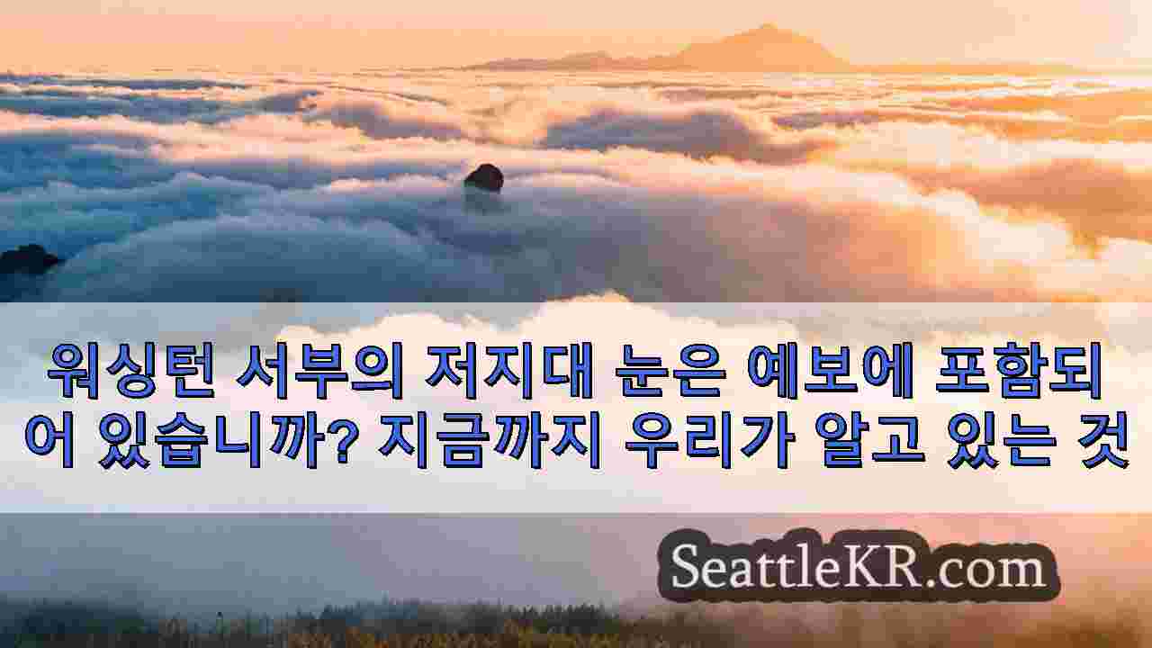 시애틀 뉴스 SeattleKR