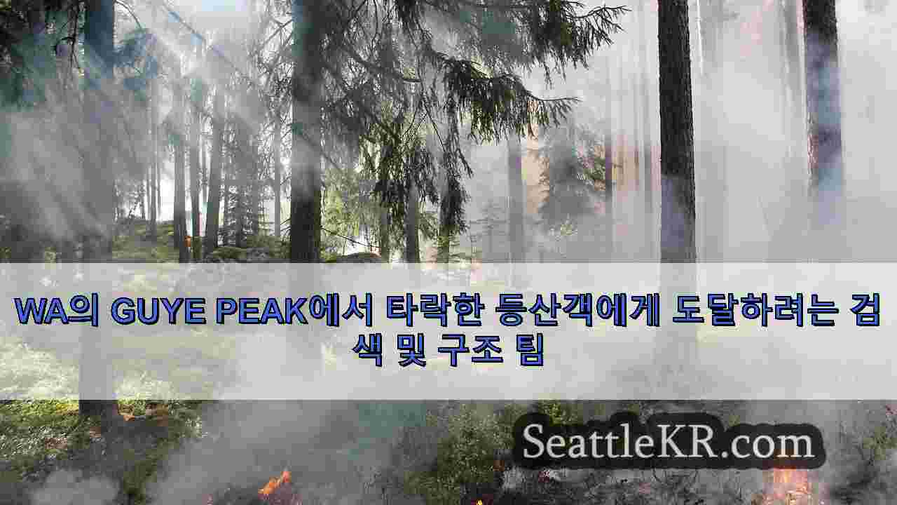 시애틀 뉴스 SeattleKR