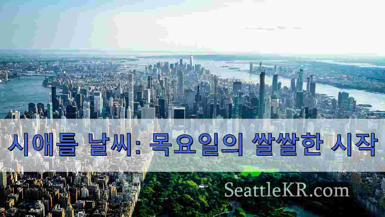 시애틀 뉴스 SeattleKR