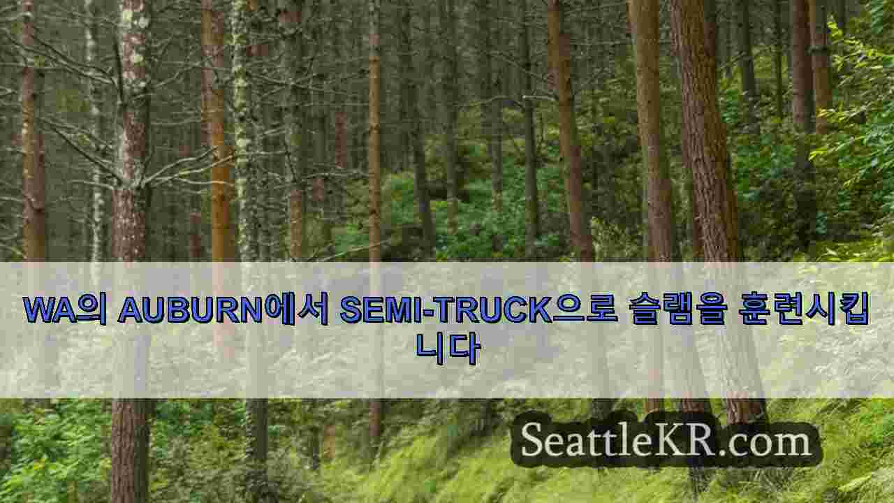 시애틀 뉴스 SeattleKR