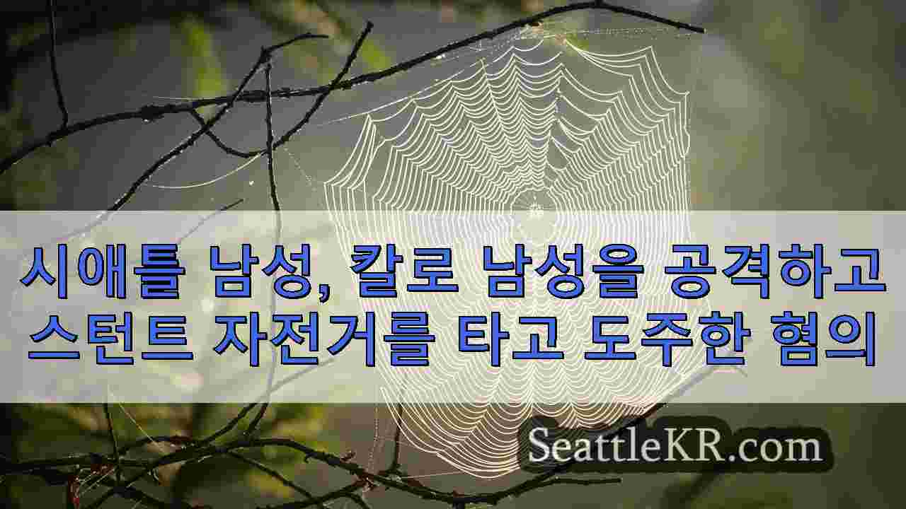 시애틀 뉴스 SeattleKR