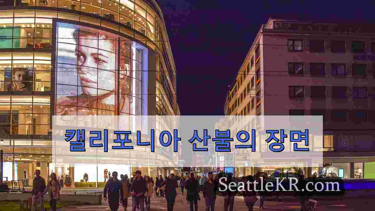 시애틀 뉴스 SeattleKR