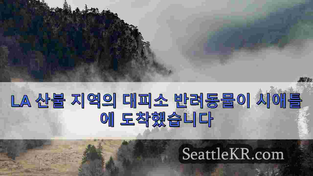 시애틀 뉴스 SeattleKR