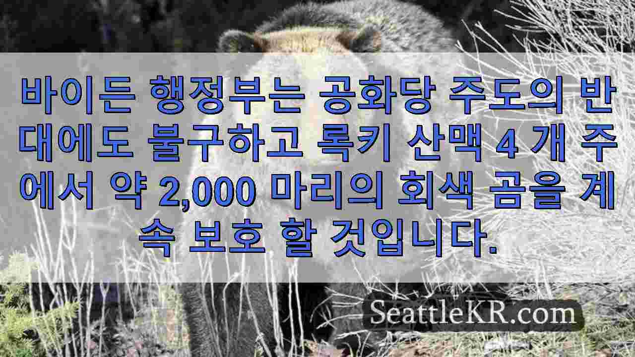 시애틀 뉴스 SeattleKR