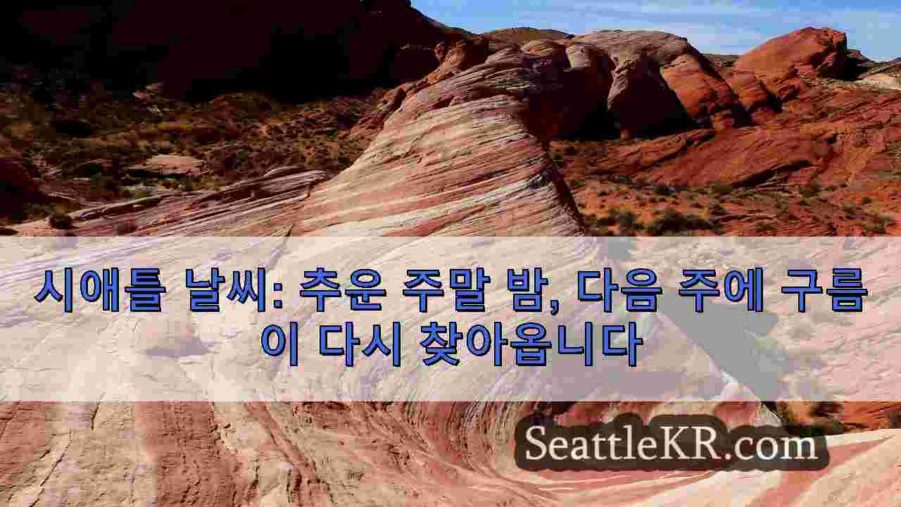 시애틀 뉴스 SeattleKR