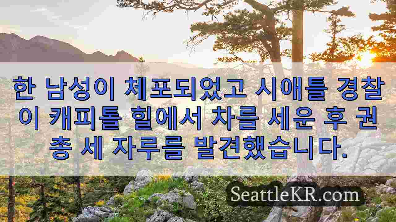 시애틀 뉴스 SeattleKR