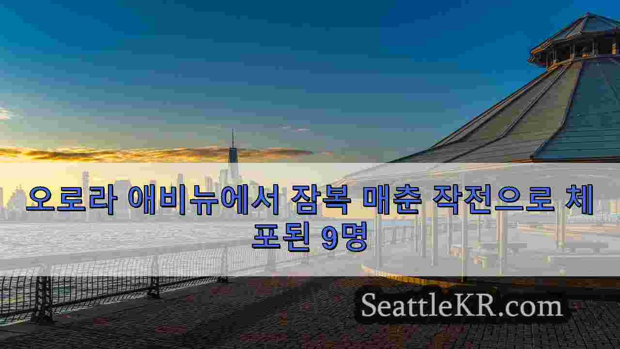 시애틀 뉴스 SeattleKR