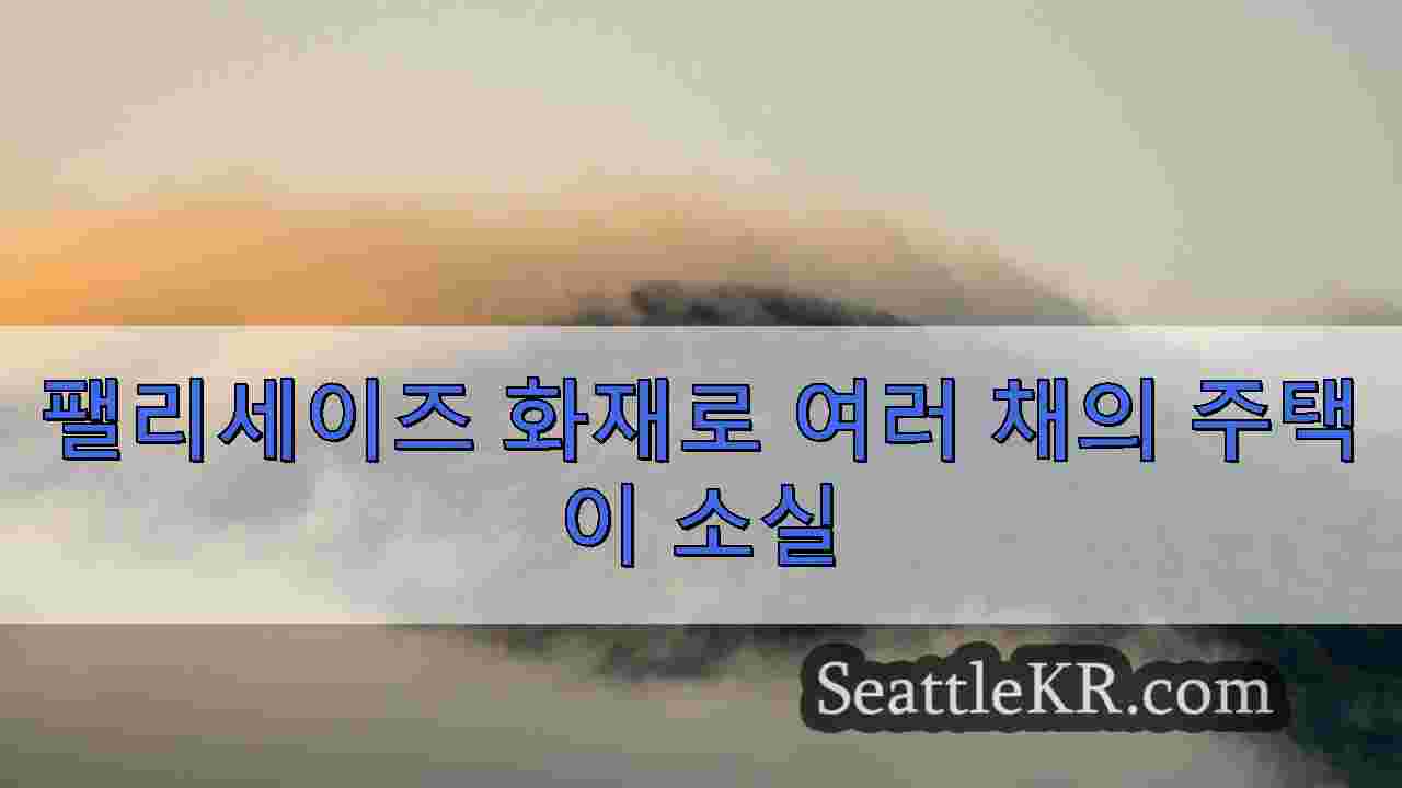 시애틀 뉴스 SeattleKR