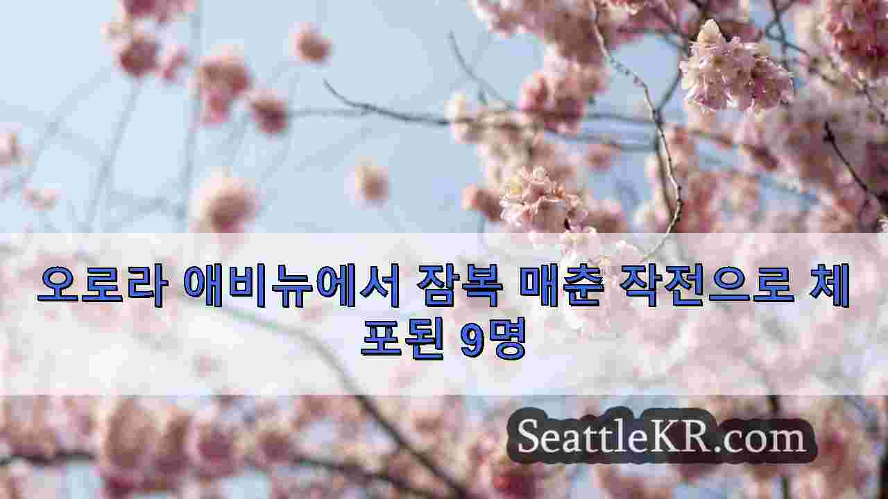 시애틀 뉴스 SeattleKR