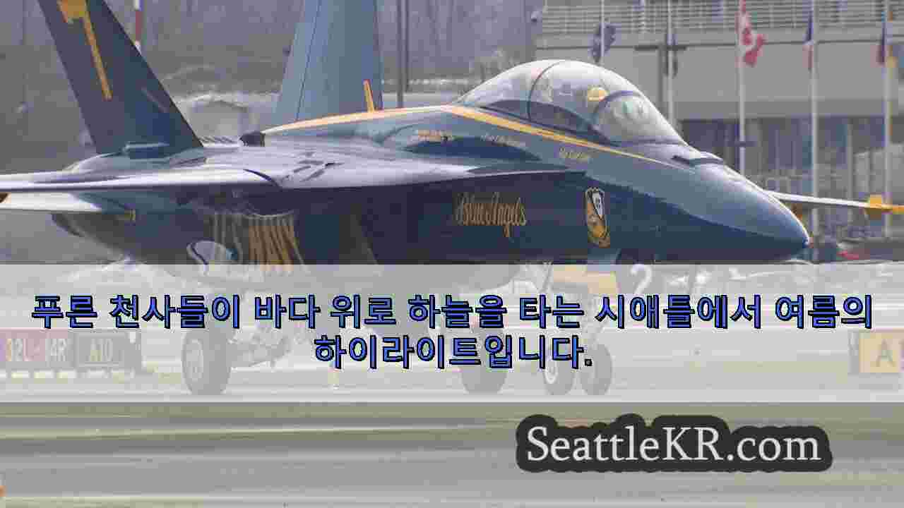 US Navy Blue Angels는 겨울 방문 시애틀 방문을 위해