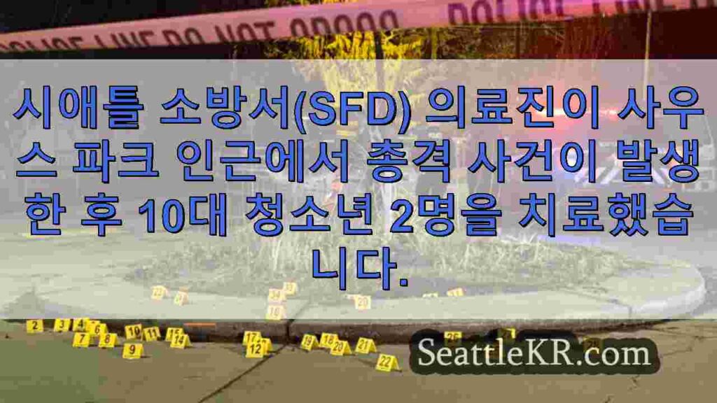 시애틀 사우스 파크에서 10대 청소년들이 총격을 가해 약 20개의 탄피