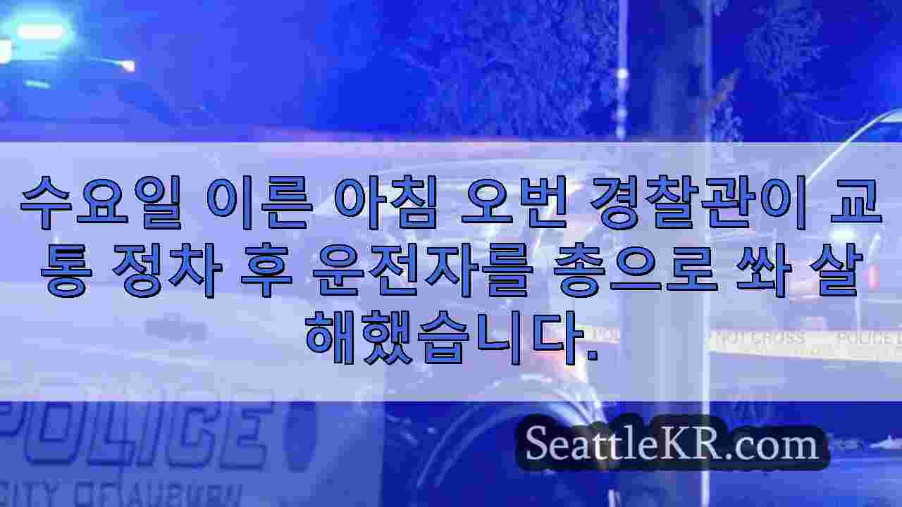 시애틀 뉴스 SeattleKR