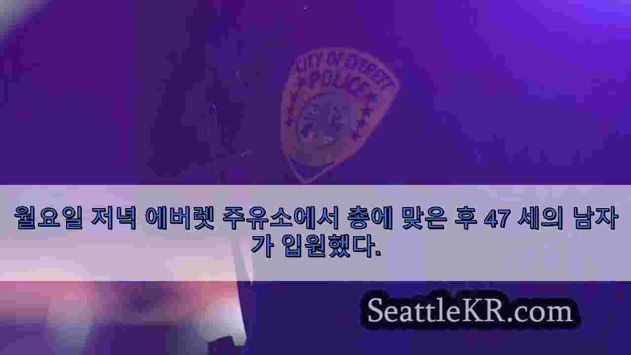 시애틀 뉴스 SeattleKR