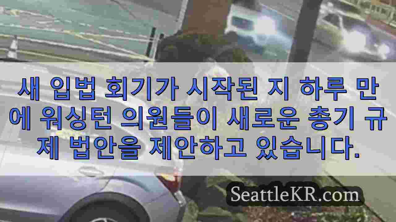 시애틀 뉴스 SeattleKR