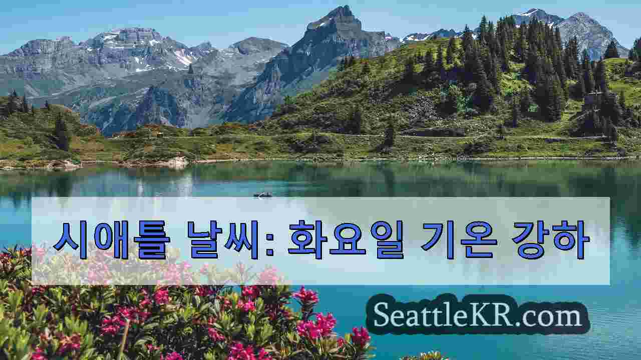 시애틀 뉴스 SeattleKR