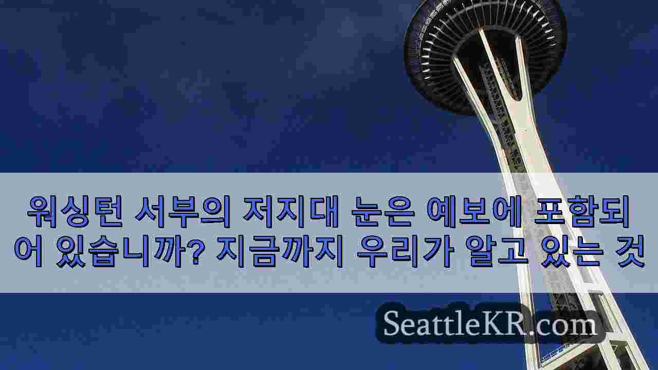 시애틀 뉴스 SeattleKR