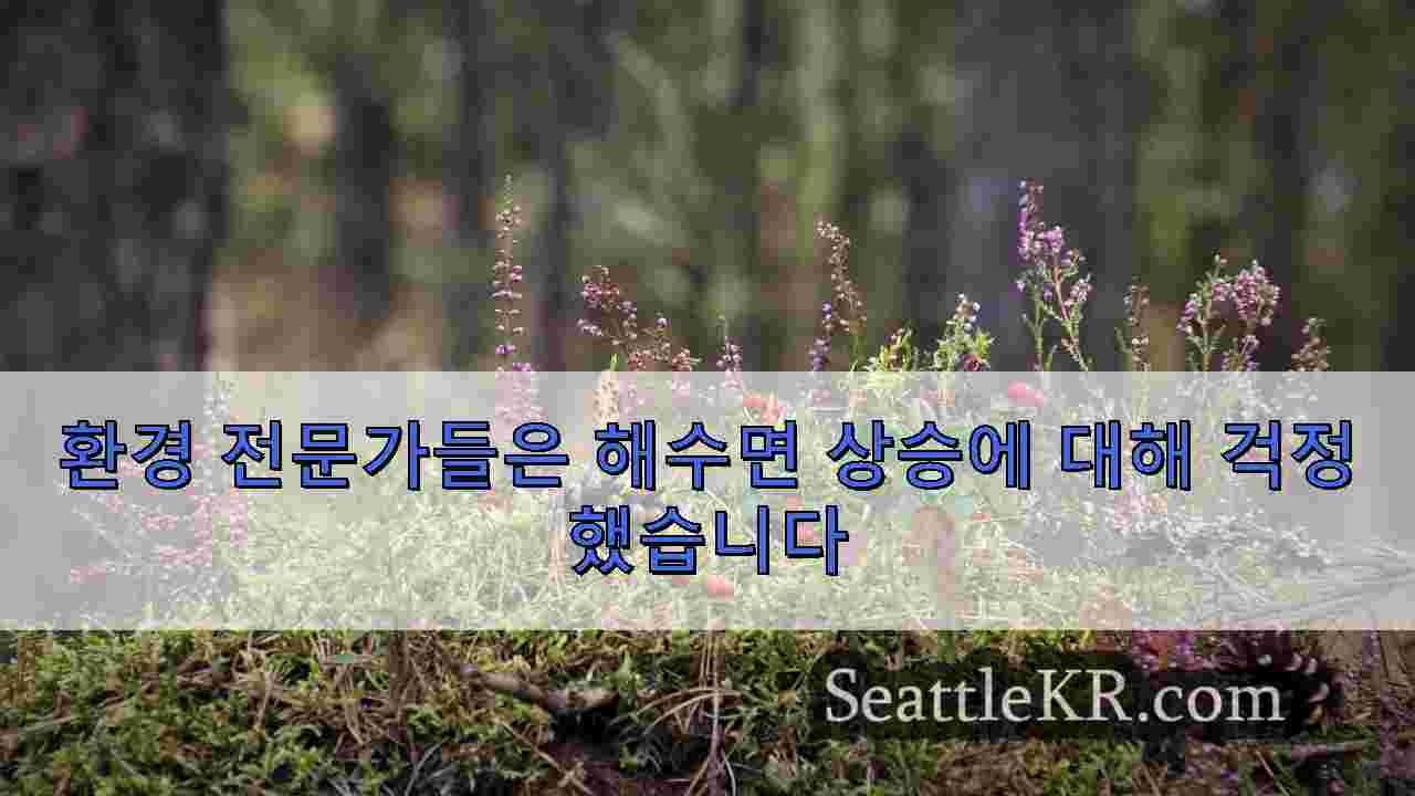 시애틀 뉴스 SeattleKR