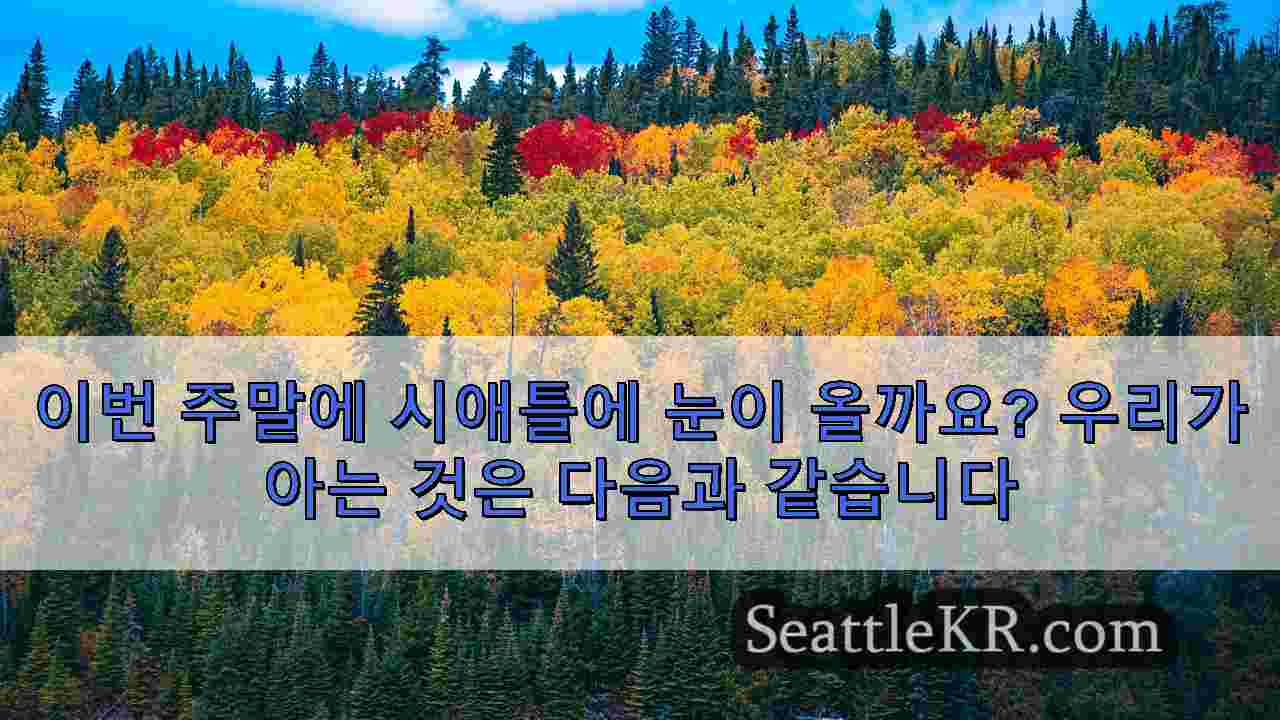 시애틀 뉴스 SeattleKR