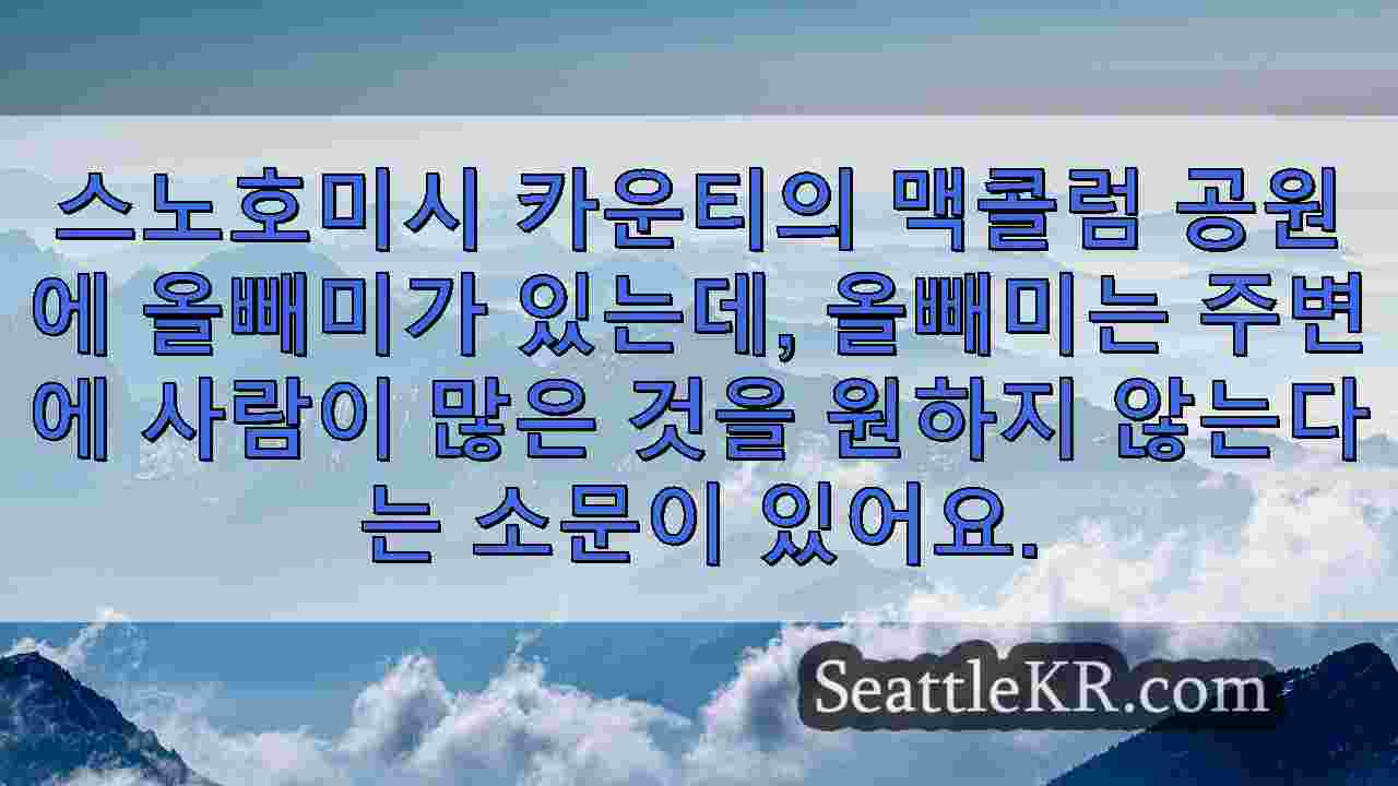 시애틀 뉴스 SeattleKR