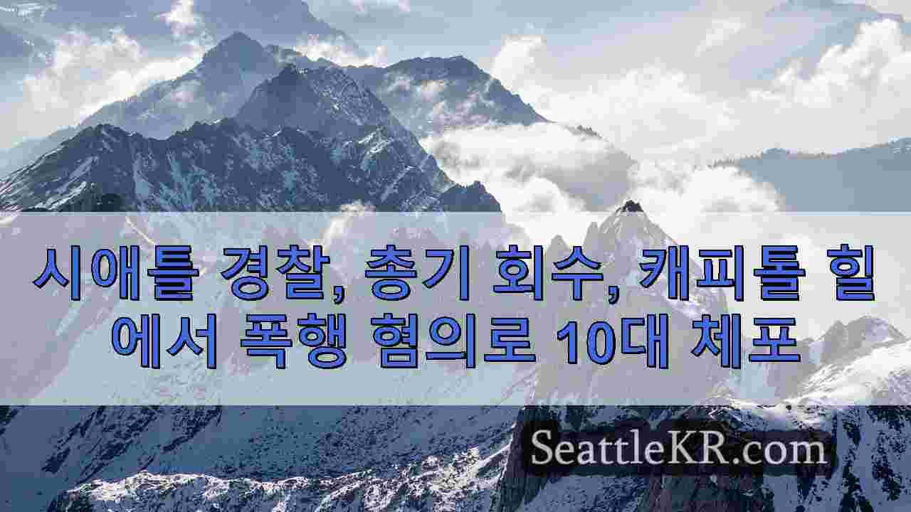 시애틀 뉴스 SeattleKR