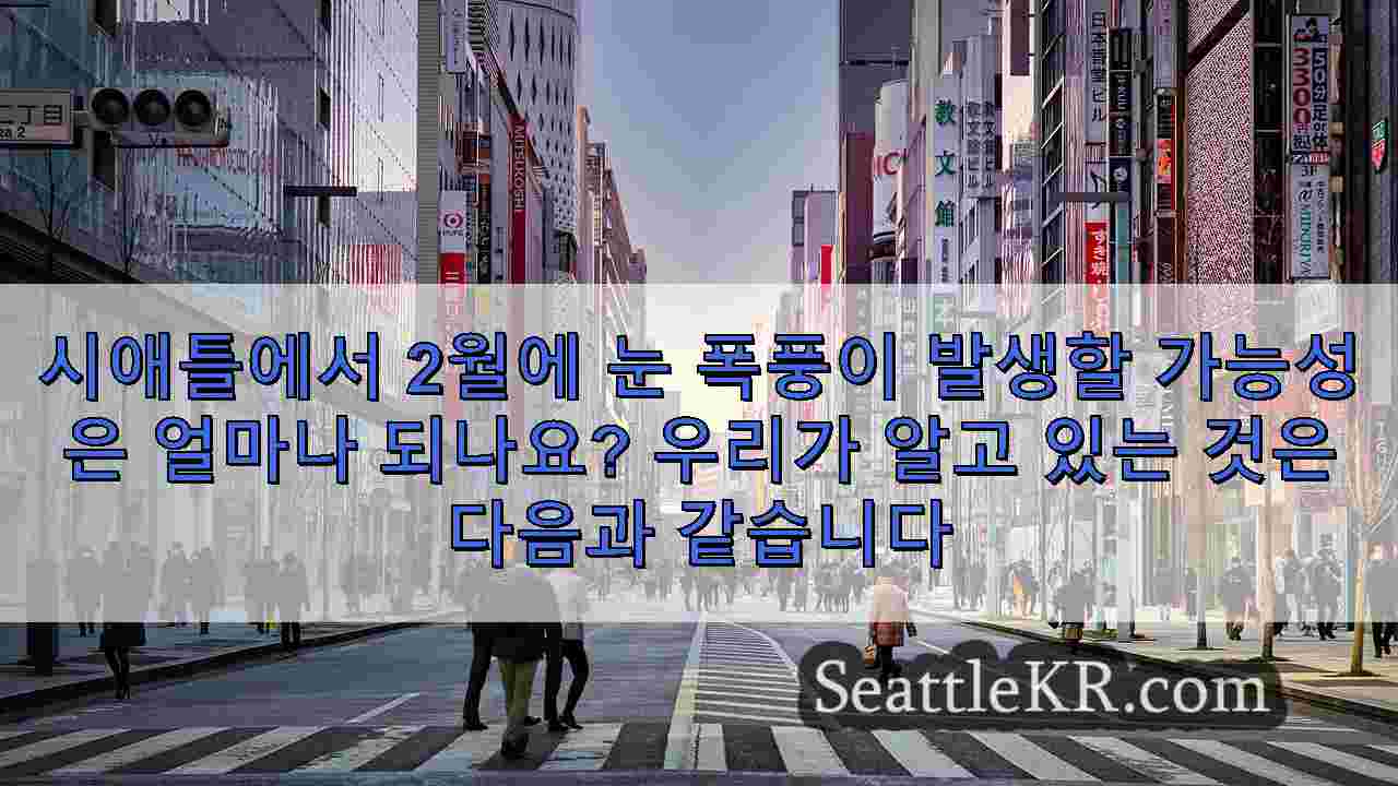 시애틀 뉴스 SeattleKR