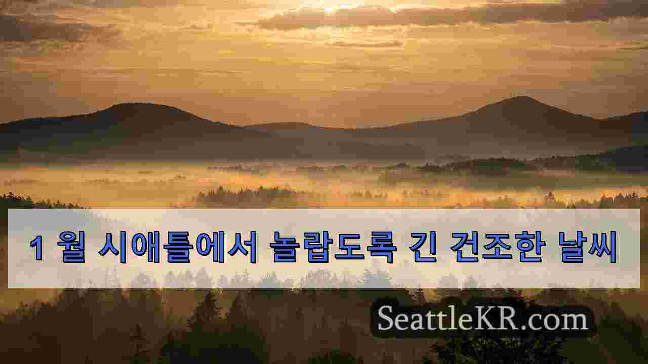 시애틀 뉴스 SeattleKR