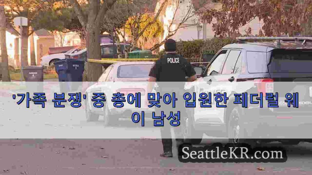 '가족 분쟁' 중 총에 맞아 입원한 페더럴 웨이 남성