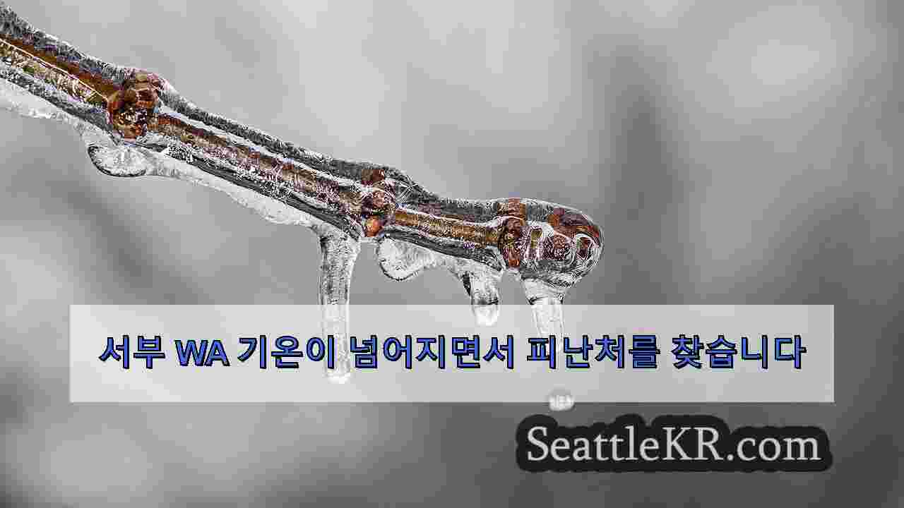 시애틀 뉴스 SeattleKR