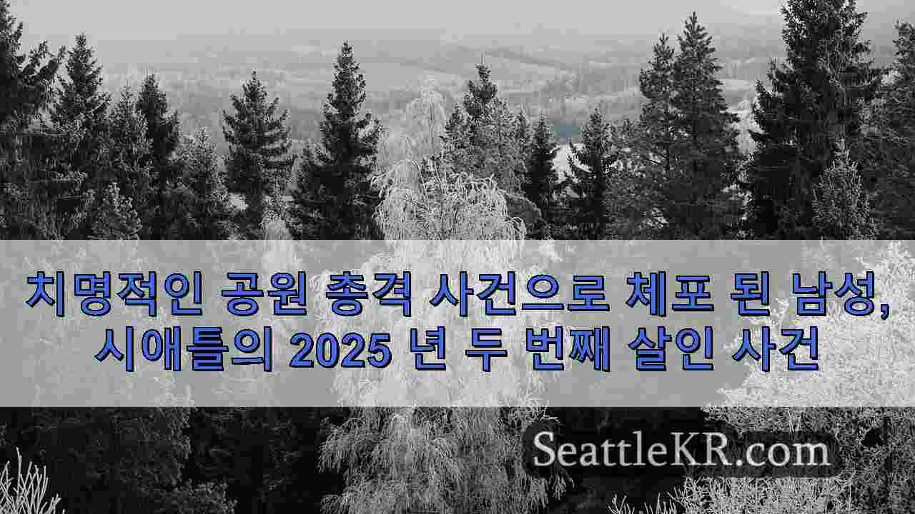 시애틀 뉴스 SeattleKR