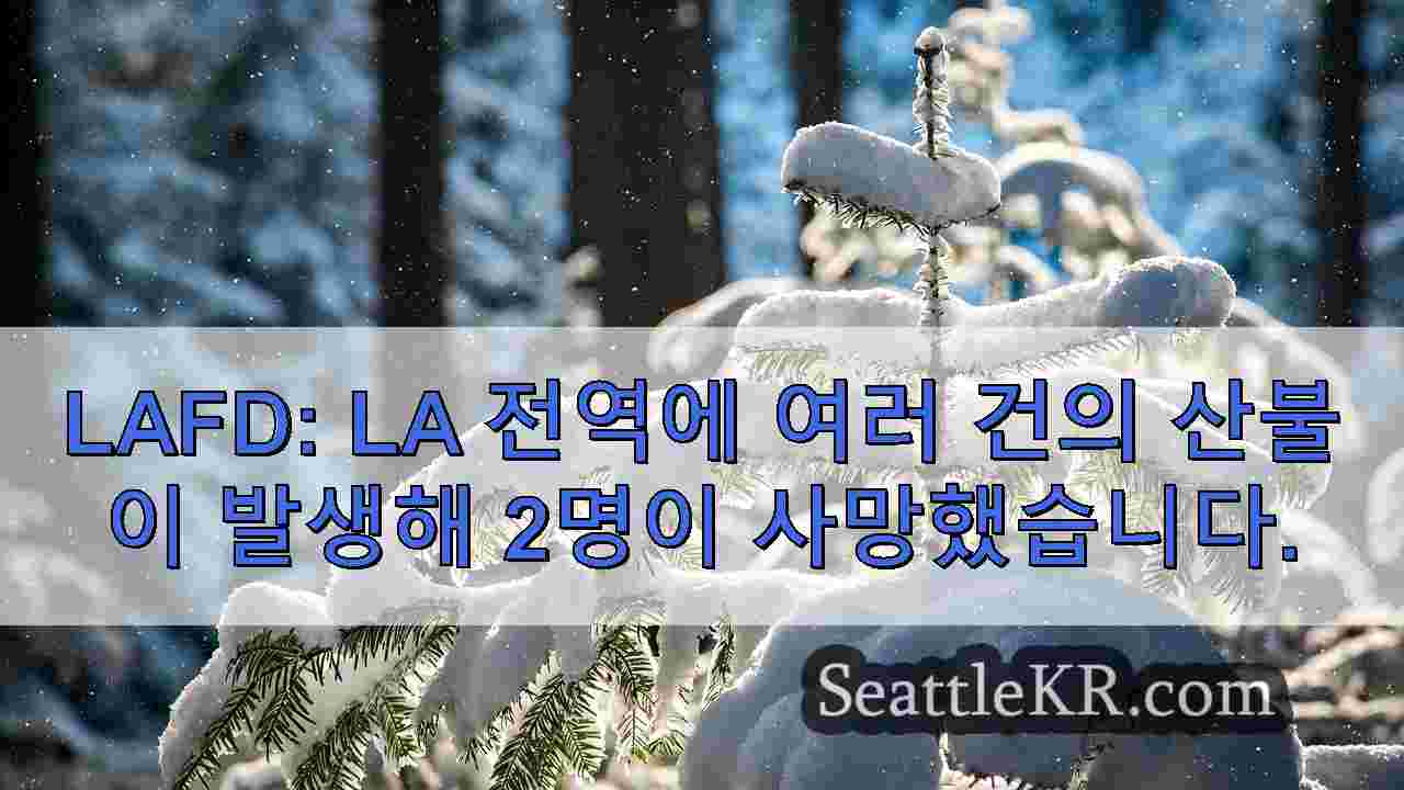 시애틀 뉴스 SeattleKR