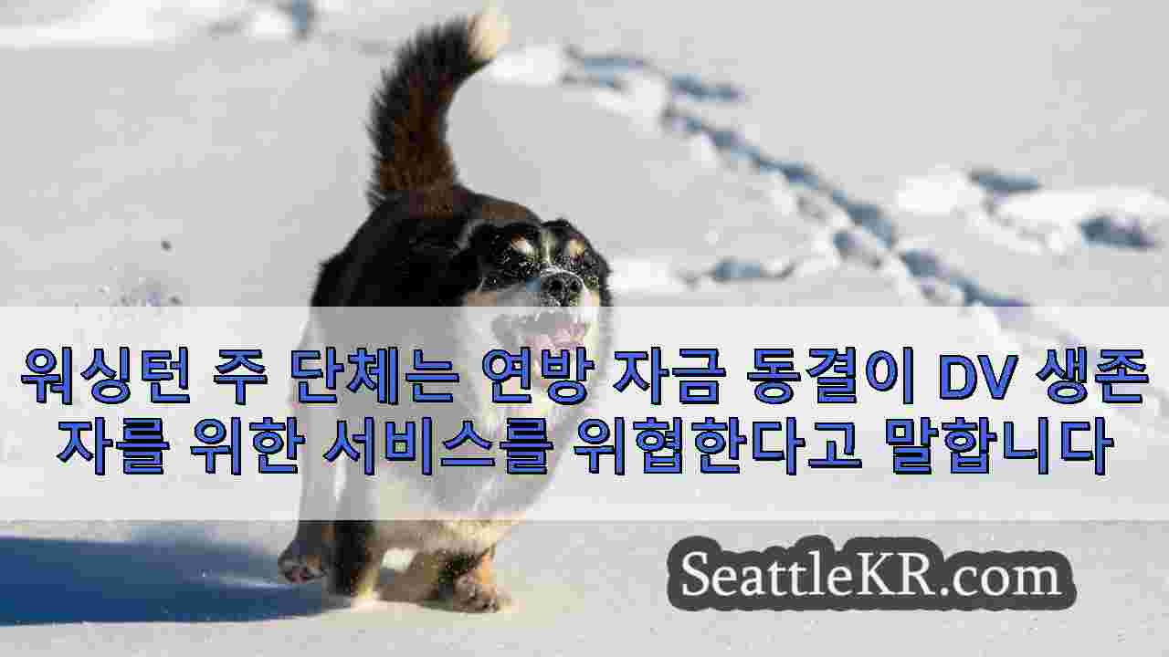 시애틀 뉴스 SeattleKR