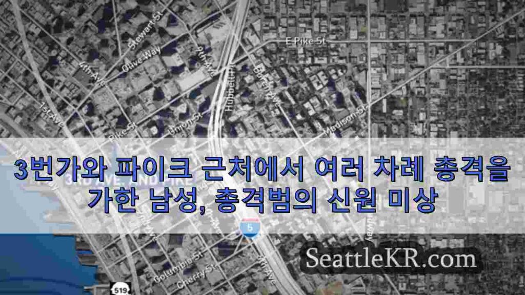3번가와 파이크 근처에서 여러 차례 총격을 가한 남성, 총격범의 신원