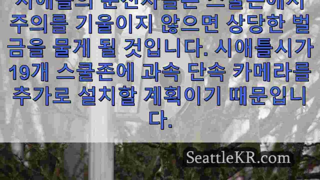 시애틀, 교통 위반을 줄이기 위해 스쿨존 과속 단속 카메라 확충