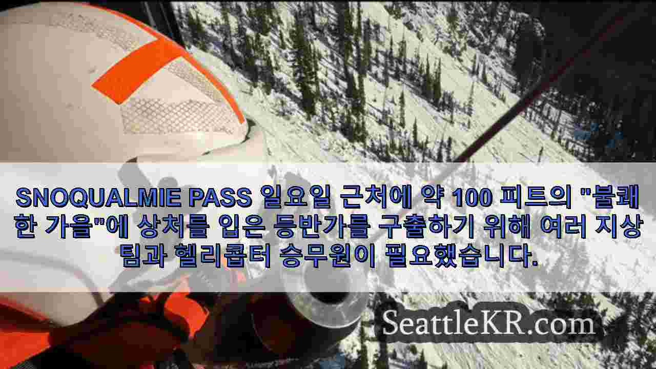 시애틀 뉴스 SeattleKR