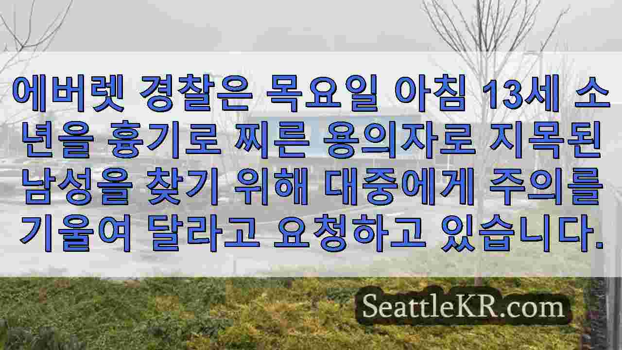 시애틀 뉴스 SeattleKR