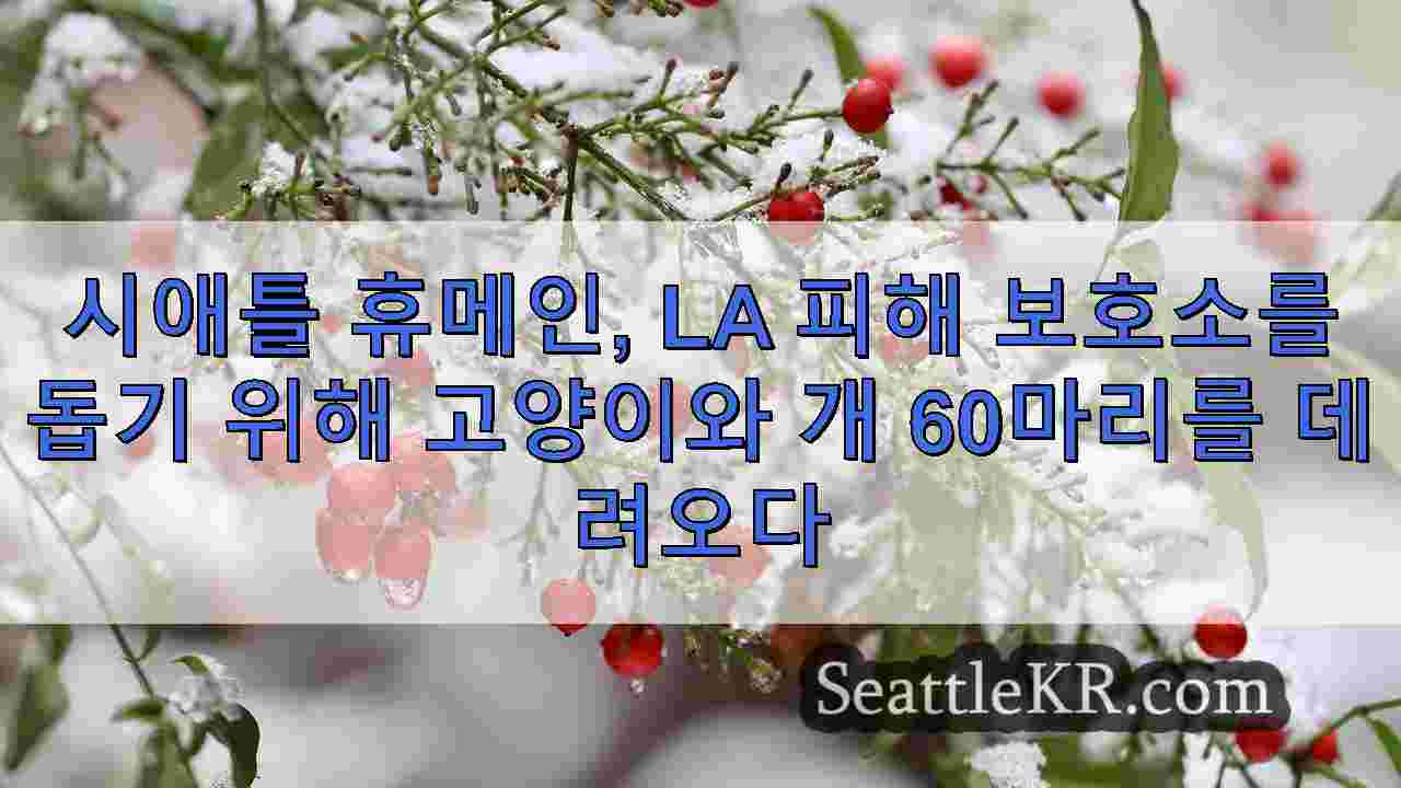 시애틀 뉴스 SeattleKR