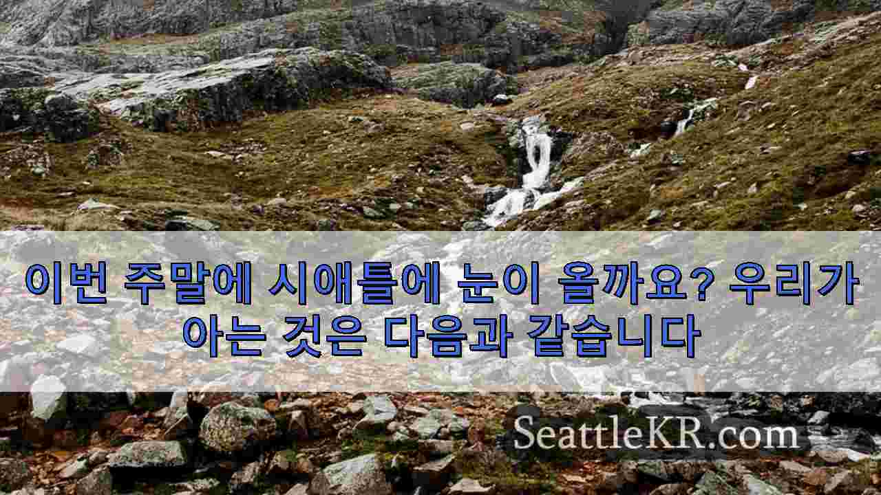 시애틀 뉴스 SeattleKR