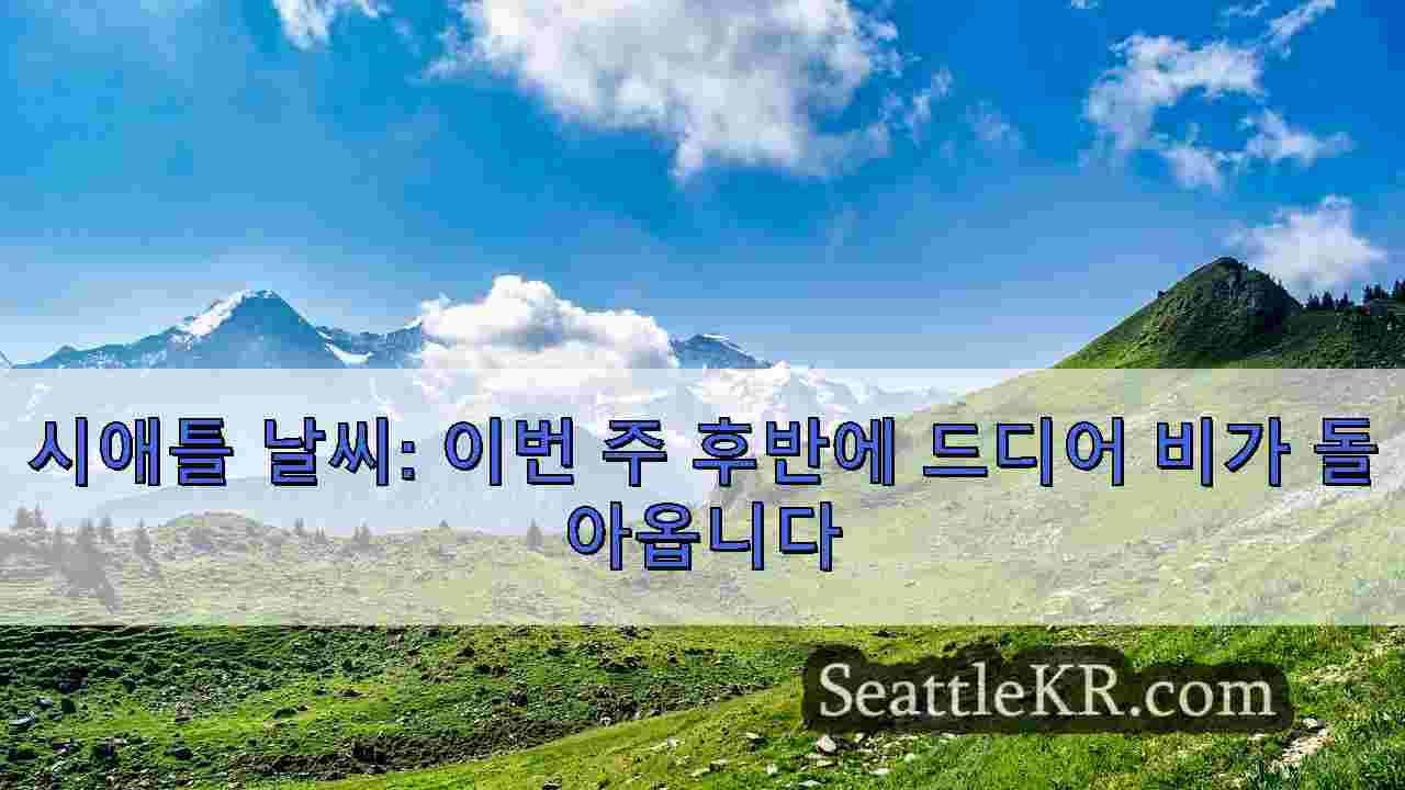 시애틀 뉴스 SeattleKR