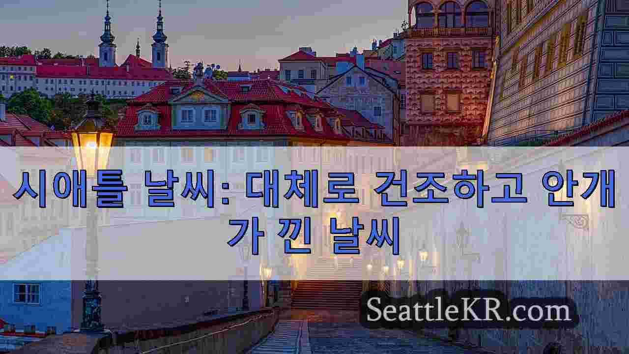 시애틀 뉴스 SeattleKR