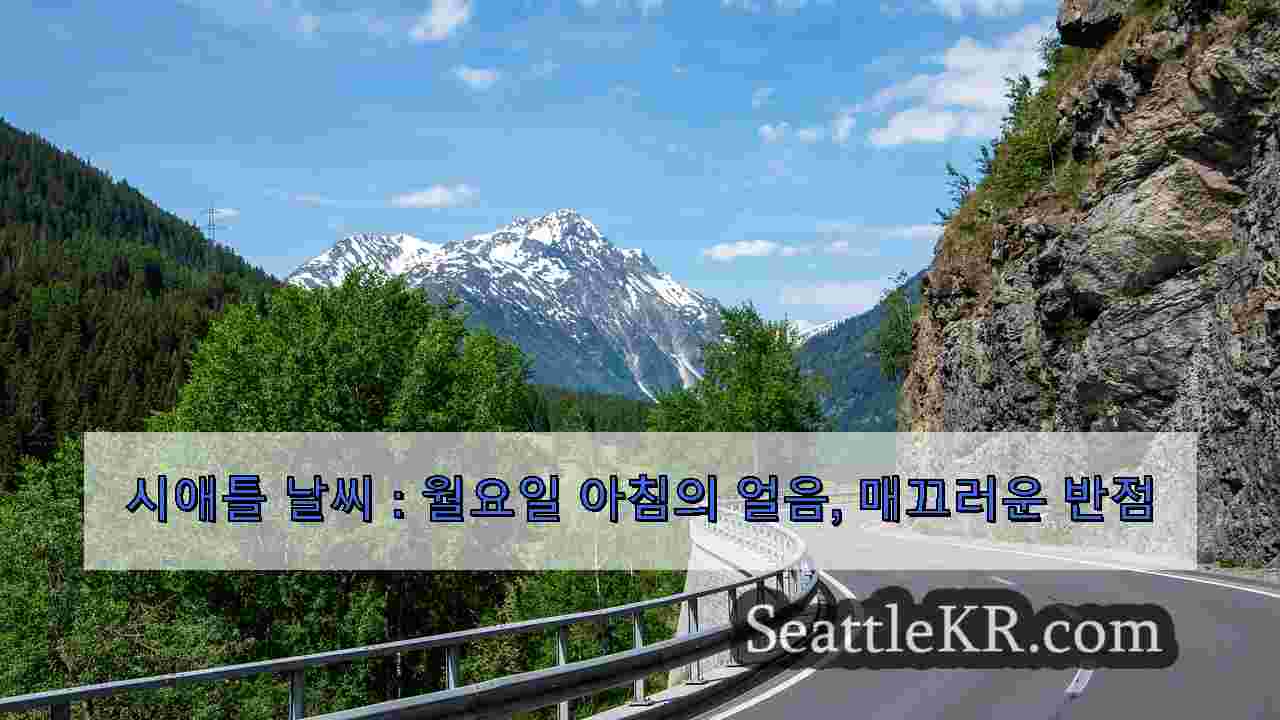 시애틀 뉴스 SeattleKR