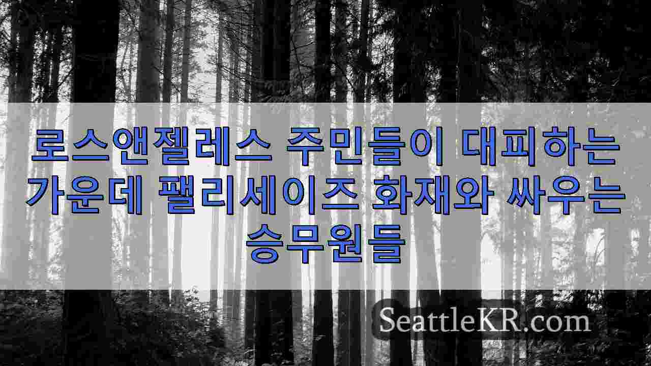 시애틀 뉴스 SeattleKR