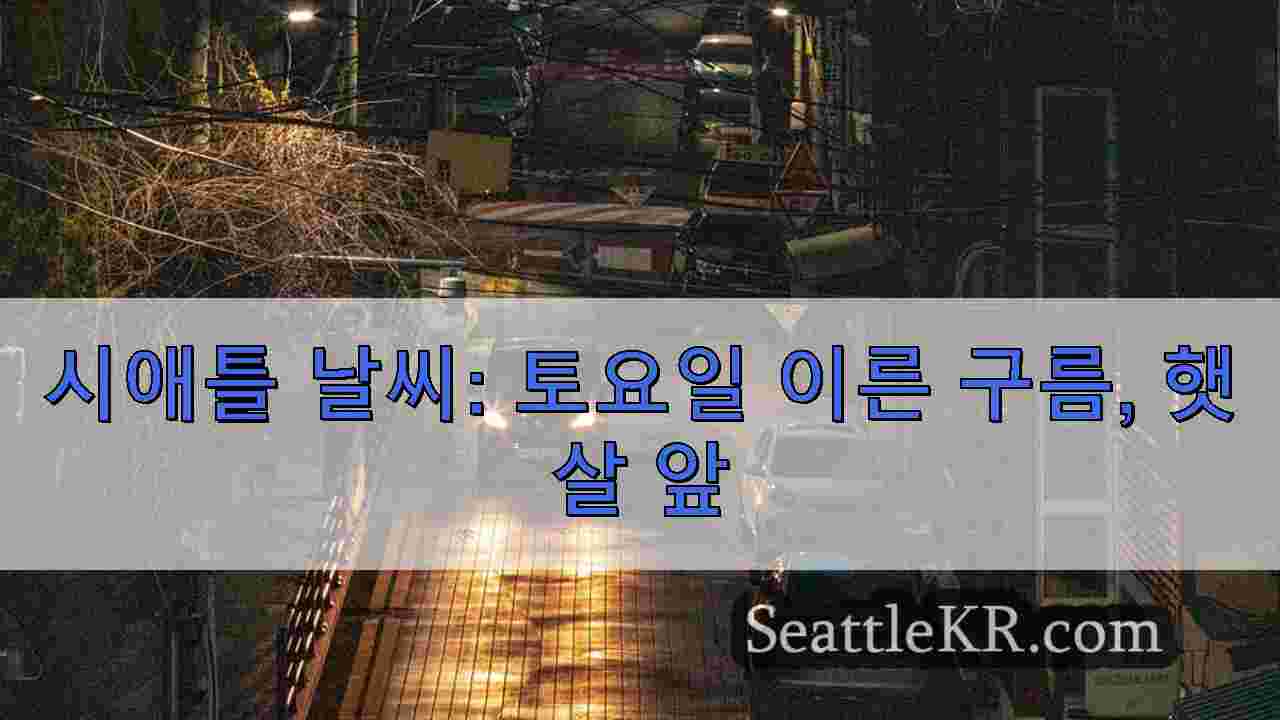 시애틀 뉴스 SeattleKR