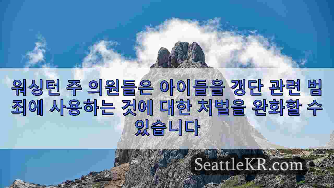 시애틀 뉴스 SeattleKR