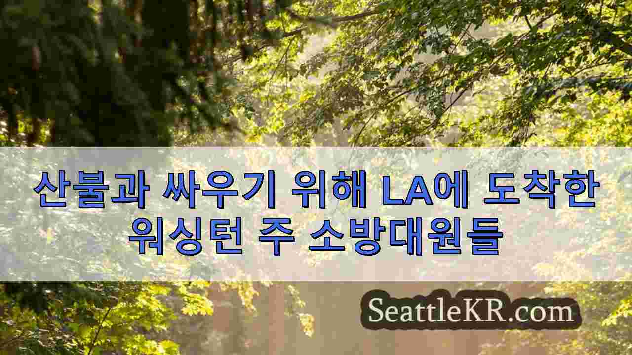 시애틀 뉴스 SeattleKR