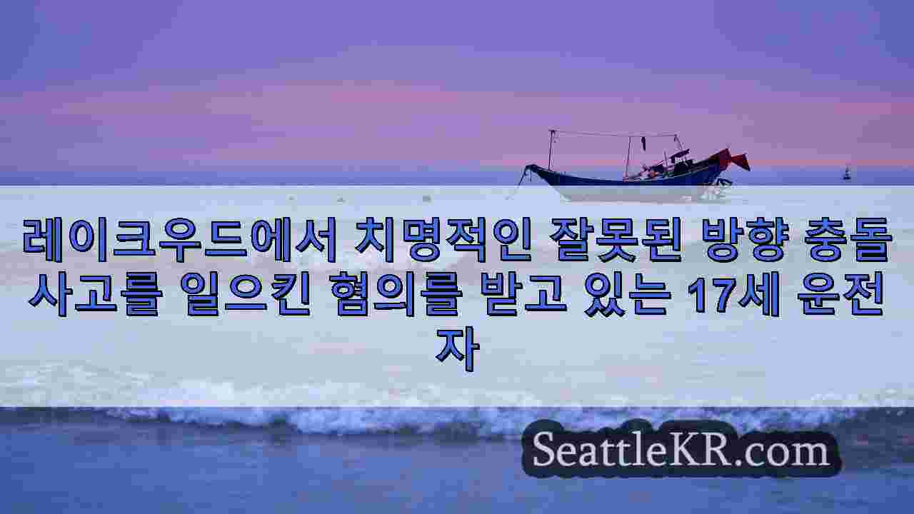 시애틀 뉴스 SeattleKR