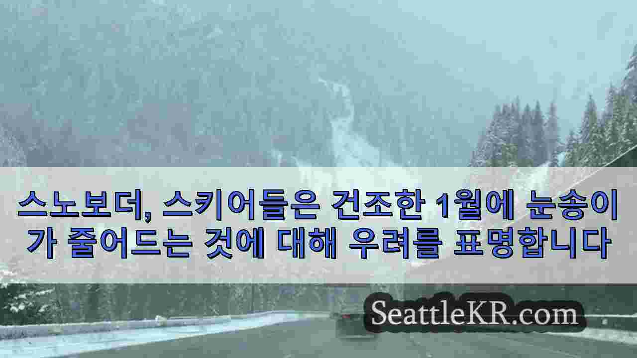 시애틀 뉴스 SeattleKR