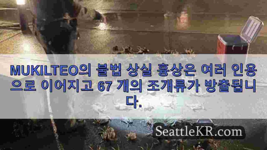Mukilteo의 불법 상실 흉상은 여러 인용으로 이어지고 67 개의